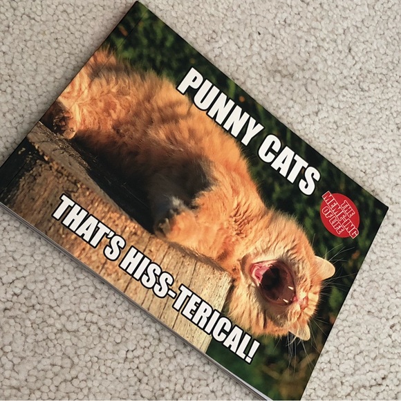 4. piece cat lover gift selection stocking stuffer - Picture 7 of 14